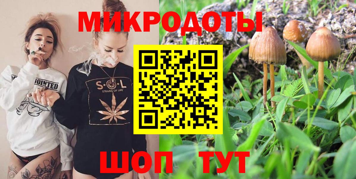 Ефремов  Галлюциногенные грибы ЛСД  Вход с VPN 